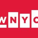 BRIC and WNYC Host Town Hall on School Segregation Today