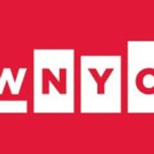 BRIC and WNYC Host Town Hall on School Segregation Today