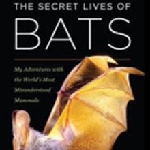 Bookworks Presents Shelf Awareness for Readers: An Appreciation of Bats