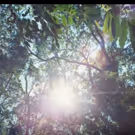 VIDEO: Silva Unveils Music Video for 'Feliz e Ponto'