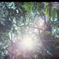VIDEO: Silva Unveils Music Video for 'Feliz e Ponto' Video