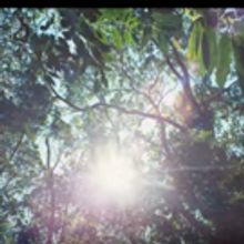 VIDEO: Silva Unveils Music Video for 'Feliz e Ponto'