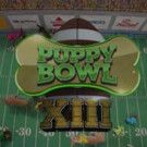 Bow WOW! Animal Planet's PUPPY BOWL XIII  Was Second Highest Rated Ever