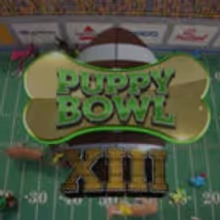 Bow WOW! Animal Planet's PUPPY BOWL XIII Was Second Highest Rated Ever