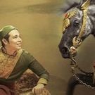 BWW Review: Trumpets Presents C.S. Lewis' THE HORSE AND HIS BOY, Now Thru 11/22