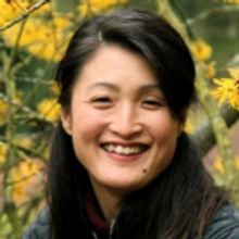 TheatreWorks Silicon Valley to Stage TOKYO FISH STORY This Spring