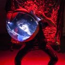 WHAT'S YOUR PROBLEM? to Play Special Effects Festival at The Wild Project
