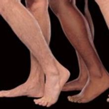 THE FULL MONTY Coming to Manatee Performing Arts Center