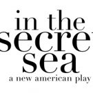 Martin Charnin to Direct Cate Ryan's IN THE SECRET SEA at The Beckett Theatre This…