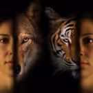 Duke City Repertory To Go Wild with THE JUNGLE BOOK