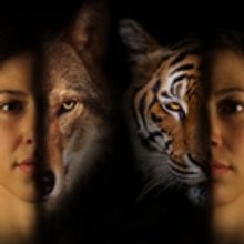 Duke City Repertory To Go Wild with THE JUNGLE BOOK