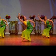 BCFA Presents 11th ANNUAL BIRMINGHAM CHINESE FESTIVAL, 1/28