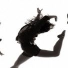 The Berman Announces Michigan Five University Dance Teams to Perform Together in…