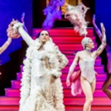 Premierenreport: EIN KÄFIG VOLLER NARREN bringt Glamour ans Theater Magdeburg