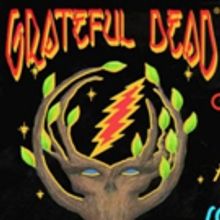 The Lounge at Boulder Theater to Screen DOWNHILL FROM HERE, ALPINE VALLEY