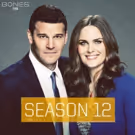 FOX Greenlights Final Farewell Season of BONES