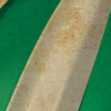 RIPCORD Comes to The Circuit Playhouse