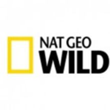 Nat Geo WILD & Cesar Millan Looking for Dogs to Star in New Series CESAR AND SON