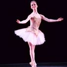 BWW Review: Heralding the Holidays with THE NUTCRACKER and the American Repertory Ballet