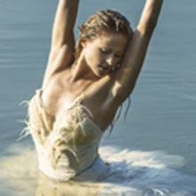 SWAN LAKE Principal Casting Announced! Six Debuts, Heather Ogden Returns to the Stage