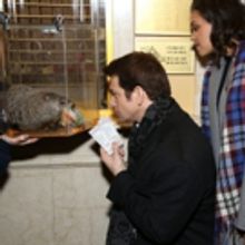 Photo Coverage: Staten Island Chuck Helps Andy Karl & GROUNDHOG DAY Company Open the Box Office!
