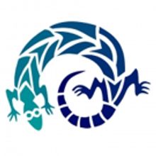 Matrix School of Theatre Winter Workshops Highlight Detroit Dreams