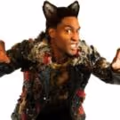 BWW Reviews: THE 3 LITTLE PIGS, Town Hall Birmingham, August 1 2015