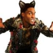 BWW Reviews: THE 3 LITTLE PIGS, Town Hall Birmingham, August 1 2015