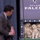 VIDEO: TONIGHT SHOW Presents 'Puppies Predict the Super Bowl LI'