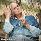 TRANSPARENT & More Set for Toronto Film Festival's Small Screen Section
