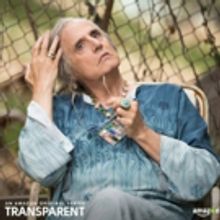 TRANSPARENT & More Set for Toronto Film Festival's Small Screen Section