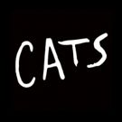 Claw Your Way to CATS with the Broadway Revival's Digital Lottery
