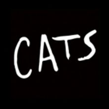 Claw Your Way to CATS with the Broadway Revival's Digital Lottery