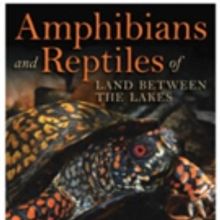 AMPHIBIANS AND REPTILES OF LAND BETWEEN LAKES is Launched