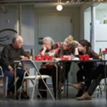 Tony-Winning Thanksgiving Family Drama THE HUMANS Becomes Top-Grossing Play of 2016