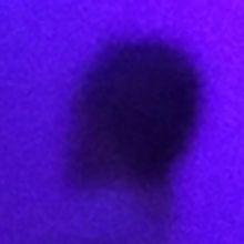 LOVE...THE CONCERT Returns to Metropolitan Room