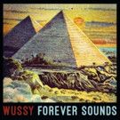 Wussy's New Album FOREVER SOUNDS Out Today
