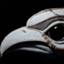 New South African THE FIREBIRD to play Artscape and National Arts Festival Before Int