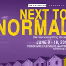 Brand New Theatre Company Begins Inaugural Season with NEXT TO NORMAL