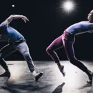 BWW Review: The Dance Gallery Festival Celebrates its 10th Anniversary