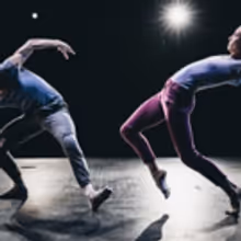 BWW Review: The Dance Gallery Festival Celebrates its 10th Anniversary