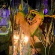 Valencia College Announces Arts Season Preview 2015-16