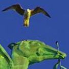 A Week To Go Until Those Liver Birds Take Flight Again In Special Concert…