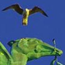 A Week To Go Until Those Liver Birds Take Flight Again In Special Concert Presentatio