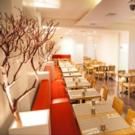 BWW Review: DOSAI for Delicious South Indian Cuisine in NYC
