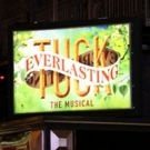 Up On The Marquee: TUCK EVERLASTING