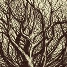 The Open Circle Theatre Company presents WAITING FOR GODOT