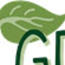 GREEN MUSIC FESTIVAL Announces Vendors and Sponsors