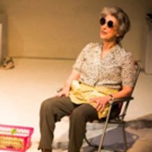 BWW Review: MY MOTHER SAID I NEVER SHOULD, St James Theatre, April 19 2016