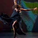 Brooklyn Museum Celebrates Black History Month With BEVERLY BUCHANAN And I SEE…